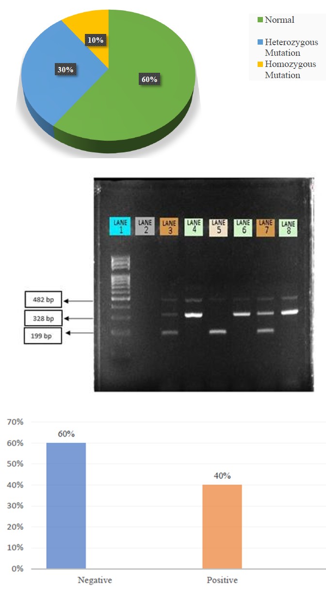 Figure 1: 2% Agarose gel analysis of the PCR products for the detection of rs2231142 mutation in genomic DNA by Allele specific PCR. (Lane 1-100bp ladder, Lane 2-Blank, Lane 3,7- Heterozygous mutation, Lane 4,6,8-Homozygous wild, Lane 5-Homozygous mutation)