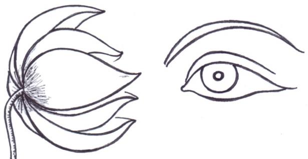 Figure 6: Length of a face and Corresponding length of face & palm. This is a very ancient linear measure which speaks of the bodily form of the image as navamukham in height (navamukham =nine faces). The mukham measure is taken as 12 viral. An elaborate scale has been devised by breaking up the total form into related sub-parts. This measure is thus a relative measure. We can see the relationship of the face to the chest as one mukham length, thigh and leg as 2, genital belt as 1, the knee, neck and feet as 1/4 of the face. The shilpa texts call this mukham measure as tāla. Hence, the same table will read as follows: This is called navatāla in the tālamānam or tāla scale. While the tāla measure can be used to set out the dimensions of larger parts of the body, smaller aspects like eyes, ears, nose, mouth, fingers, etc., cannot be measured in this system. Therefore, certain minute divisions have been designed. The navatāla measure is not the only type of measure. There are many other rhythmic measures which have been adopted to represent a variety of forms, ideologies and qualities. To express all these, many kinds of tālamānam have been calculated to give tangible forms to artistic vision as well as to represent various physical forms such as male, female, children, dwarves, demons, etc. Generally, sacred images are called padtmam and images of devotees (adiyavar) are called thirumeni. With navatālaas the middle scale, one larger is called daśatāla (daśa = 10), and one smaller is ashṭatāla (ashta= 8). These 3 are the most important of the tāla measures. Further, in order, saptatāla (7), shattāla (6), panchatāla (5), chatustāla (4), tritāla (3), dwitāla (2) and ekatāla (1) make up ten tāla in all. The texts describe the saptatālaimage as vāmana, the ashṭatālaone as mānusha, and that of navatāla as deivika (god or goddess). Child images are made in pañchatāla, and the images of youthful gods in shattāla. These classifications are special for divine images only.