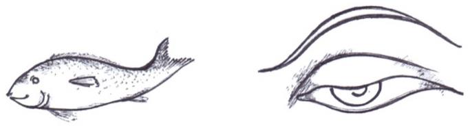 Figure 7: Oval/round shaped face.