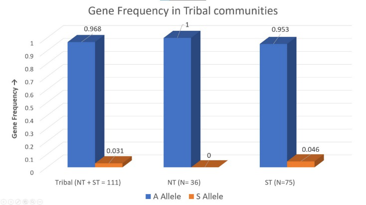Figure 1: Gene Frequency in studied Tribal communities.
