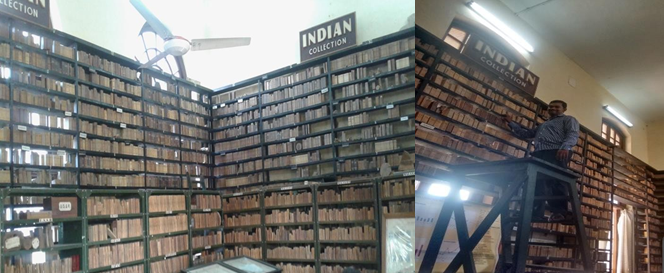 Figure 8: Xylarium (DDw) at the Forest Research Institute.
