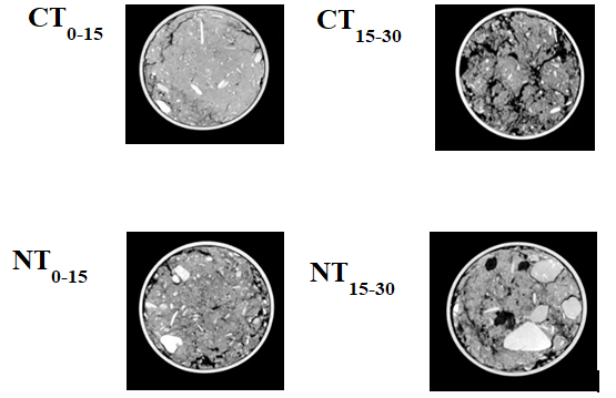 Figure 5: X-Ray Computed Tomography Images of Soil Pores for the Treatments at Two Depths (0–15 and 15–30 cm).