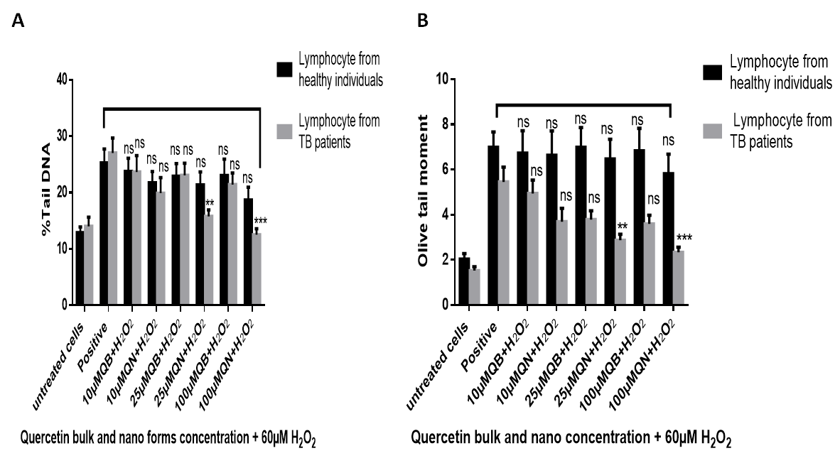 Figure 1: Graph showing the means of cell survival using MTT test of lymphocytes collected from three different healthy individuals treated with quercetin at different concentrations (donors=3).