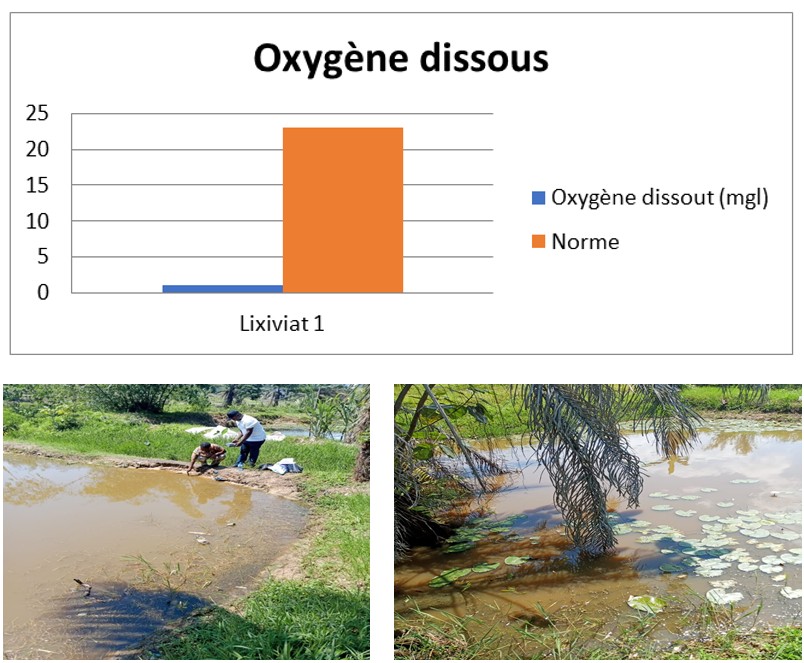 Figure 7: ** Dissolved oxygen of the pond.