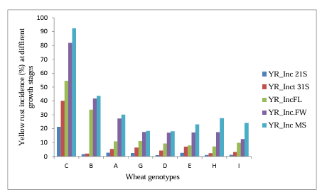 Figure 1: Trend of yellow rust incidence (%) expansion for each genotype across growth stages YRIncS21= yellow rust incidence at 21 growth stage, YRIncS31= yellow rust incidence at 31 growth stage, YRIncFL=yellow rust incidence at flag leaf appeared growth stage, YRIncFW=yellow rust incidence at flowering growth stage, YRIncMS= yellow rust incidence at milk stage.