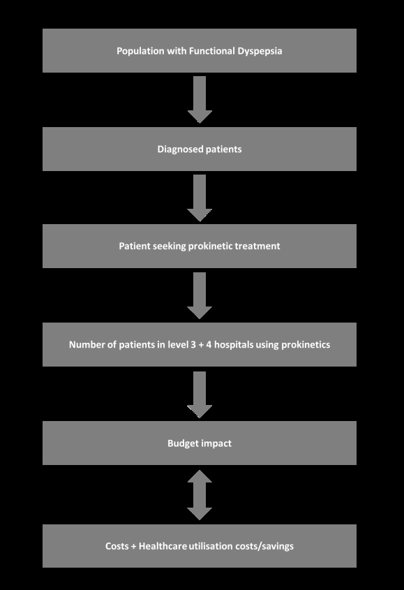 Figure 1: Overview of the steps in the budget impact analysis. The model time frame was 5-years starting in 2023 and ending in 2027, and the perspective was from the health care payer in Vietnam. It was assumed that Vietnamese people from the age 15-64 would be the primary group to access itopride in level 3+4 hospitals in Vietnam. This population grew from 62.4M in 2011 to 67.1M in 2020 according to the World Bank [22]. This is estimated to further increase from 68, 1M in 2023 to 69,4M in 2027 (Figure 2).
