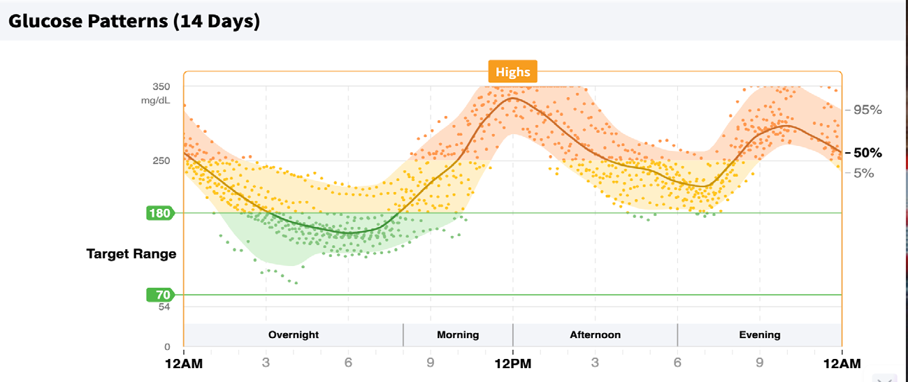 Figure 4: Daily Ambulatory Glucose Patterns for Fourteen Days. (Estimated HbA1c 8.9%).