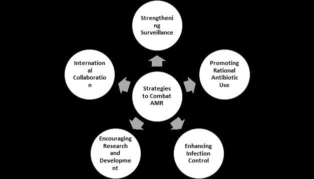 Figure 2: Strategies to Combat AMR.