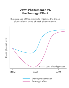 Figure 1: Dawn Phenomenon vs. the Somogyi effect.