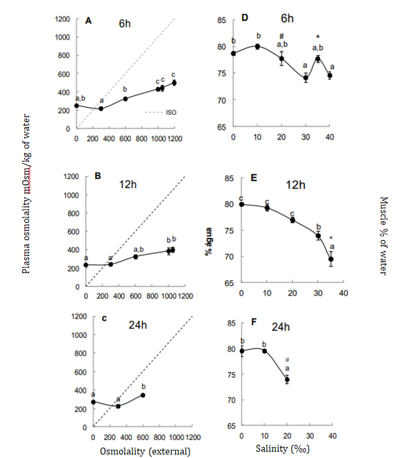 Figure 1: Data absence indicates mortality. Different letters indicates osmolality increase and also muscle water decrease. * Indicates differences between 6 and 12 hours, and #, between 6 and 24 hours.