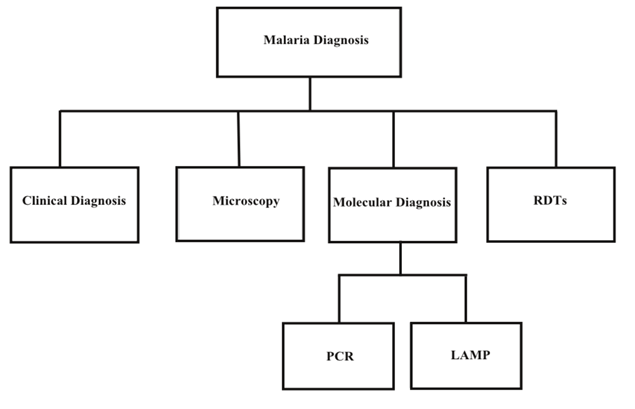 Figure 1: Malaria Diagnostic Tests.