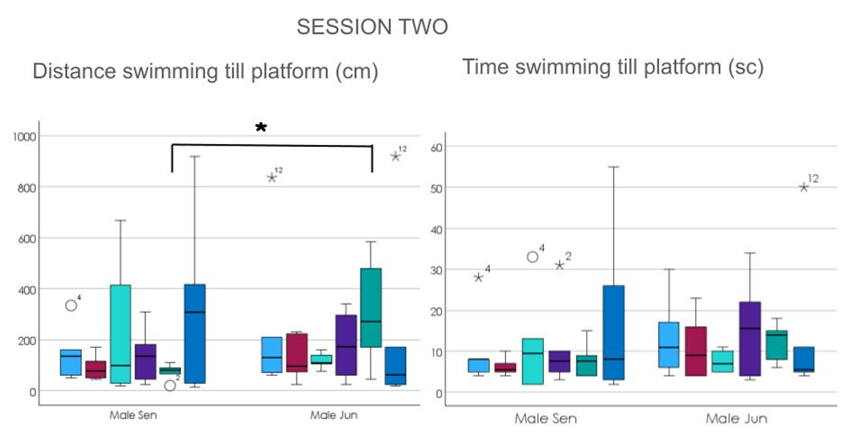 Figure 5: Graphs showing different performances of the animals of both groups. There was statistical significance for the fourth trial, having the junior group swim the bigger distance, because they were much improved but still quite immature and smaller. * p < 0.0037 in trial 5.