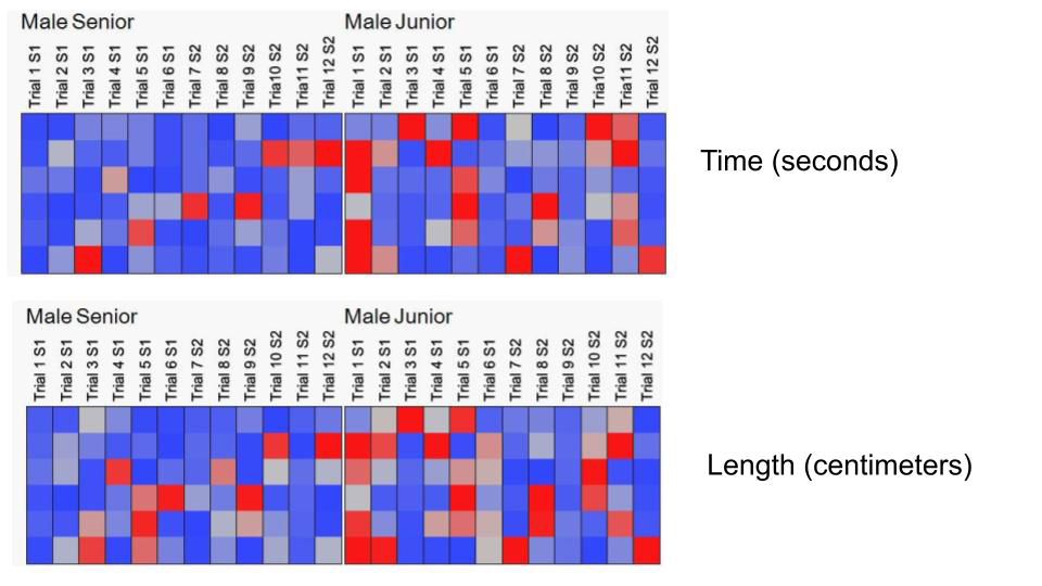 Figure 6: This mosaic graph is showing different values for time (upper cells) and distance (lower cells) of the two experimental groups during the two consecutive sessions. It is noticeable how the higher values (red squares) are mostly present in the Junior group for the first trials, but soon the blue color also takes presence.