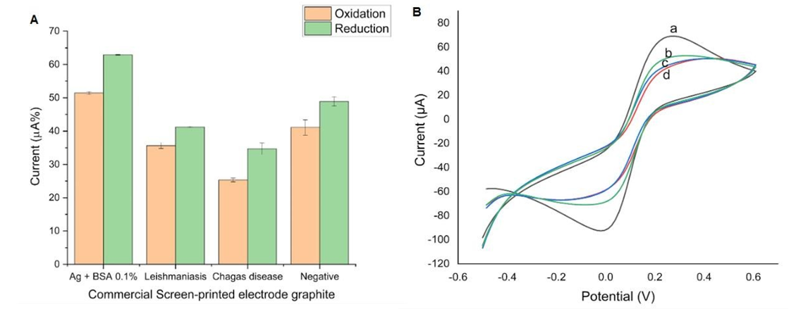 Figure 2: Bar graphs representing data referring to the detection graph (A) and cyclic voltammograms (B) for de redox probe in graphite electrodes.