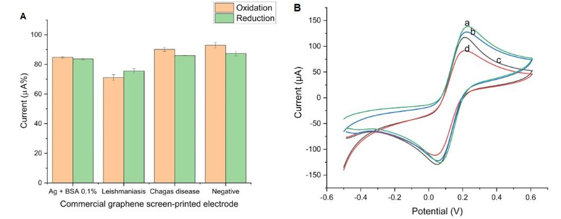 Figure 4: Bar graphs representing data referring to the detection graph (A) and cyclic voltammograms (B) for de redox probe in graphene electrodes.