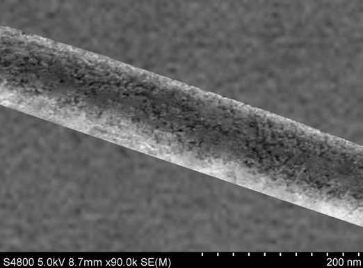 Figure 6: SEM Image of C70 Nanowhiskers Synthesized at T≈36°C, Following Heating to ~185°C on the Substrate Surface.