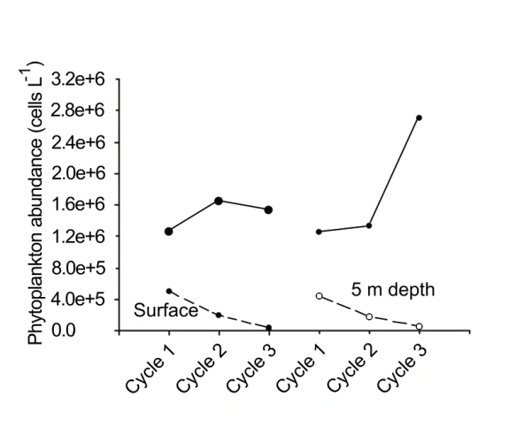 Figure 5: Maximum (solid line) and minimum (dashed line) values of total phytoplankton cell abundance (cells L-1) for three circadian cycles (February 1989) in Magdalena Bay.