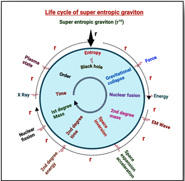Figure 9: Life cycle of a super entropic graviton.