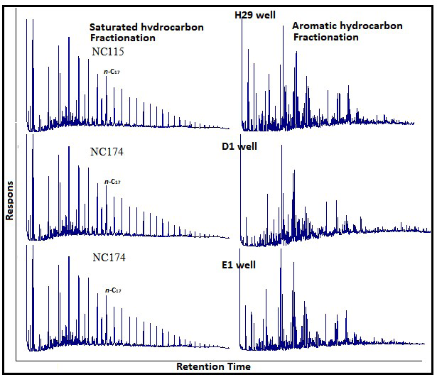Figure 2: Low abundances of triterpenes and steranes with dominance of C29 steranes, this typically symbolizes ancient life, about 541-252 million years ago during the paleozoic era.