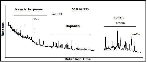 Figure 4: Tricyclic terpanes, hopanes and steranes considered the most significant organic matter combinations, derived from crude oil and/or extracted from source rock. They held in reserve, the characteristic structure of the original biological components and usually used to define organic matter precursors. The distribution of biomarkers shows enormous similarity between the studied oils (Figure 4), suggesting that these biomarkers were derived from mixture marine organic matter generated under depositional environment dominated by Prokaryotes (bacteria) and Eukaryotes.