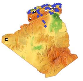 Figure 14: _Genetta genett_.