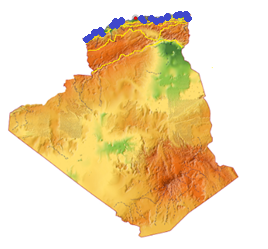Figure 21: _Acinonyx jubatus_.