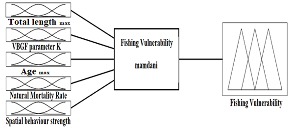 Figure 4: Variables of the fuzzy inference system (Inputs: TLmax, K, Tmax, M, S; Output: FV).
