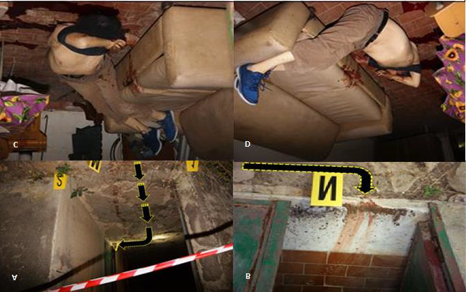Figure 2: Photographic Evidence of the Judicial Inspection of C Body. From the Blood Pool (Seen in Figure 1.A) it was Possible to See Further Blood Traces; A: Leading to the Entrance Door of the House; B: Where the Corpse Identified as C was Found, Adjacent to a Sofa (C and D).