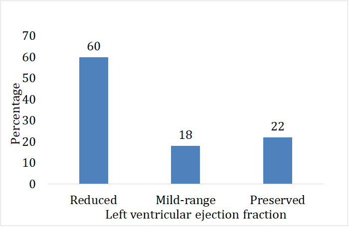 Figure 1: Division of the study population according to the left ventricular ejection fraction (N=122).