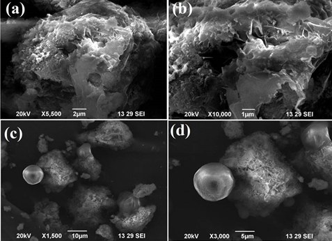 Figure 5: SEM Images of Er-Doped MgO Nanoparticles.