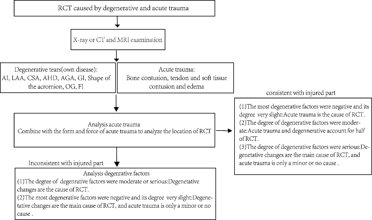 Figure 6: Judicial Appraisal Process of the RCT Injury Relationship.