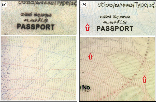 Figure 1: A: Background Images of the Questioned Bio-Data Page; B: Images of the Background Area of the Specimen Bio-Data Page. Arrows Indicate the Micro-Text and Fine Solid Lines.