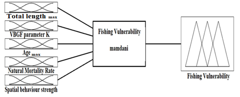 Figure 5: a. Fork length frequency distribution (FL); b. Age composition for Katsuwonus pelamis in Syrian seawaters.