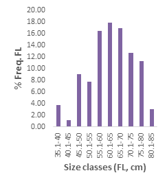 Figure 7: The growth of Katsuwonus pelamis population off the Syrian seawaters.