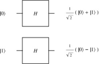 Figure 2: The icon for the 1-qubit of Walsh-Hadamard gate.
