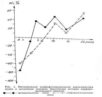 Figure 1: Integral morpho-functional characteristics of kidneys in human ontogenesis (calculated by method of morpho-kinetic synthesis and expressed as a coefficient of correlation of parameters (CCP). Solid line - functional correlations; dotted line - morpho-functional correlations.