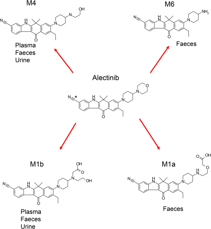 Figure 1: Metabolic pathways of Alectinib [21].