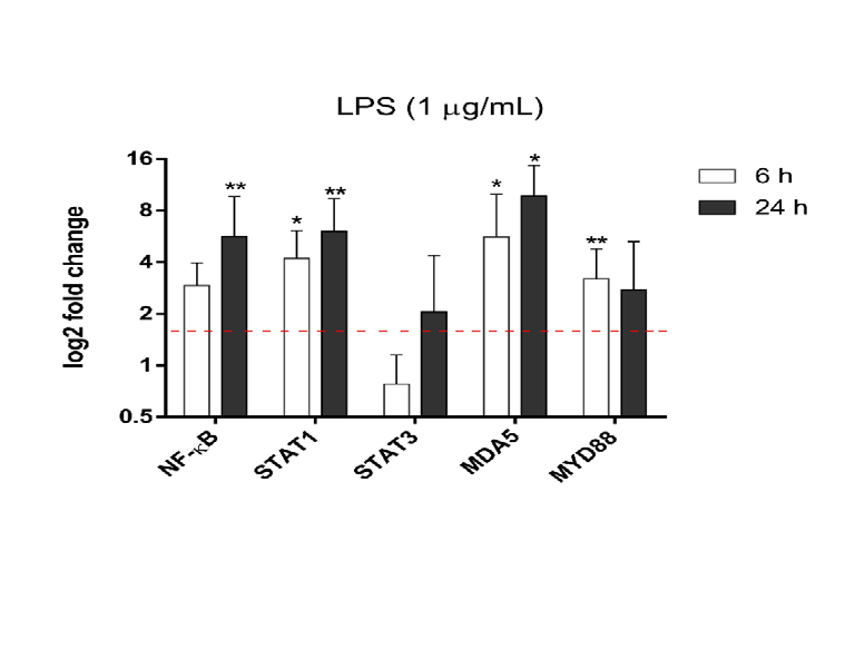 Figure 5: Mature THP-1-DCs at 6 and 24 h post stimulation with LPS. mRNA expression of inflammatory response (NF-ƙB, STAT1, STAT3, MDA5 and MYD88). RPL37 was used as a housekeeping gene. The data are as the mean SD of fold change compared to the control and representative of five independent experiments. *p<0.05 **p<0.001 as determined by One-way analysis of variance on ranks with Dunn’s post-hoc test. DCs: dendritic cells; LPS: lipopolysaccharide.