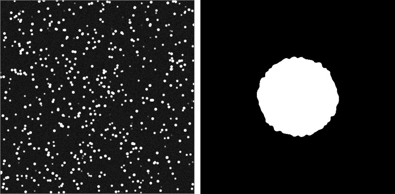 Figure 1: Example of image with the point-like or circular objects and its spatial domain.