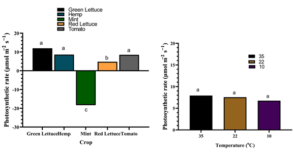 Figure 2: Photosynthetic rate of different crop species under varying temperatures. Values are the median of four replicates and different letters indicate significant (p < 0.05) differences according to the Mann-Whitney test.
