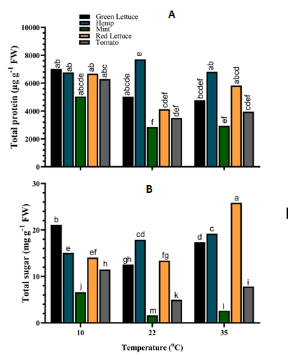 Figure 4: Osmolyte content of different crop species under varying temperatures. (A) Total protein (B) Total sugar content. Values are the means of four replicates and different letters indicate significant (p < 0.05) differences according to Tukey’s post hoc test.