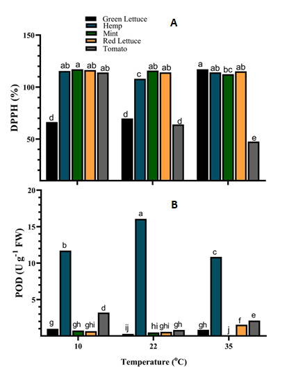 Figure 6: Antioxidant activities of different crop species under varying temperatures. (A) DPPH scavenging activities. (B) Peroxidase (POD) activities. Values are the means of four replicates and different letters indicate significant (p < 0.05) differences according to Tukey’s post hoc test.