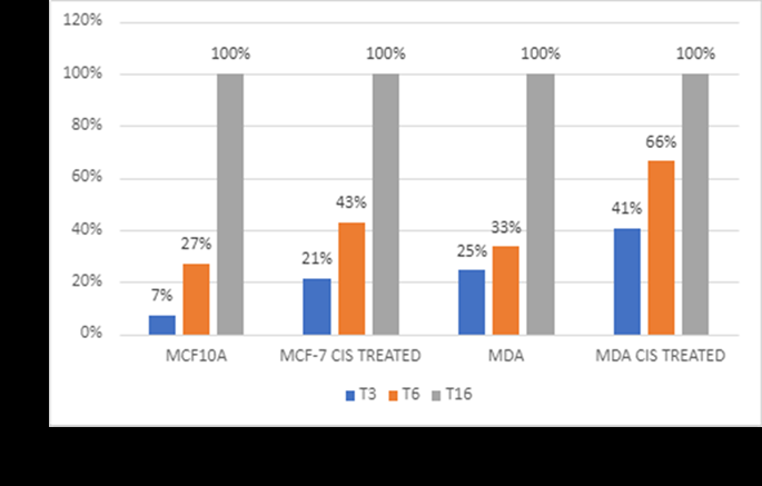 Figure 5: Cell migration assay for MCF-10A cells with no treatment, MCF-7 treated with Cisplatin at 5µM, MDA MB231 cells with no treatment, and MDA MB 231 treated with cisplatin drug at 100µM.