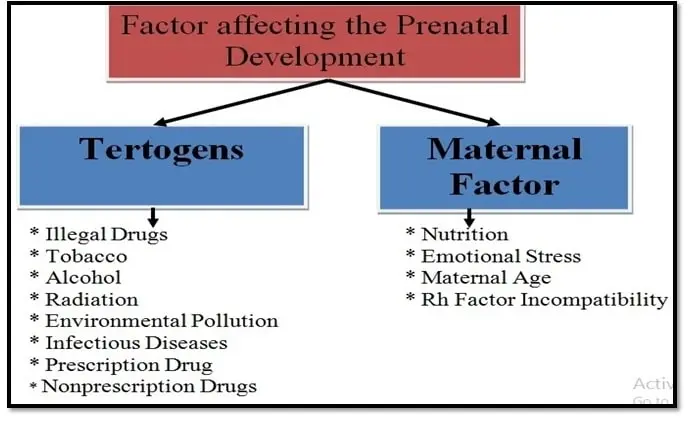 Figure 4: Factor affecting the prenatal development.