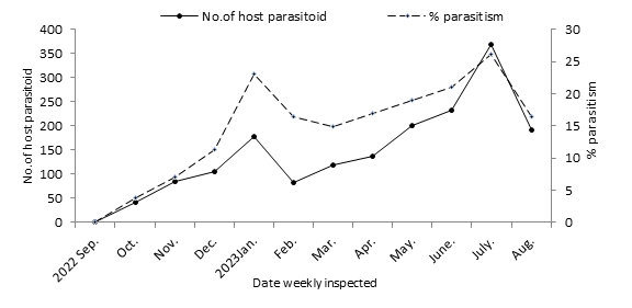 Figure 4: Percentage of parasitism of Aphytis lepidosaphes compere on Balady orange trees during 2023 /2024 seasons.