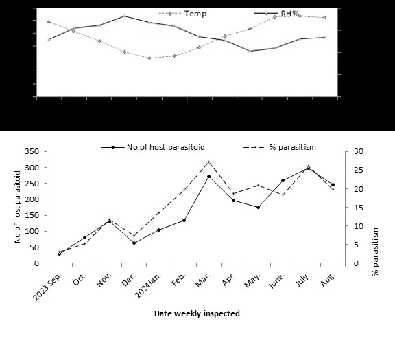 Figure 6: Percentage of parasitism of Encrasia lahorensis on Balady orange trees during 2022 /2023 seasons.