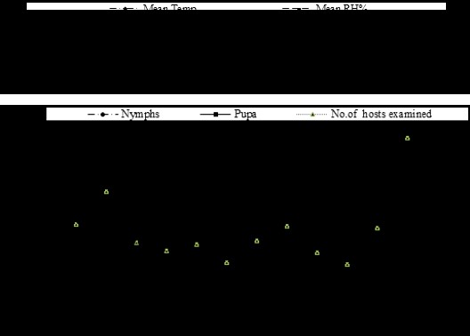 Figure 7: Population density of Dialeurodes citri on Balady orange trees during 2023/2024 seasons.
