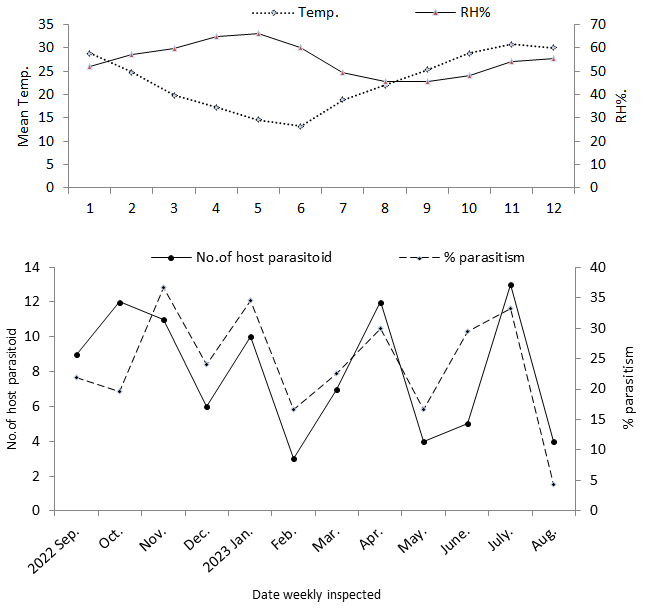 Figure 8: Percentage of parasitism of Encrasia lahorensis. on Balady orange trees during 2023/2024 seasons.