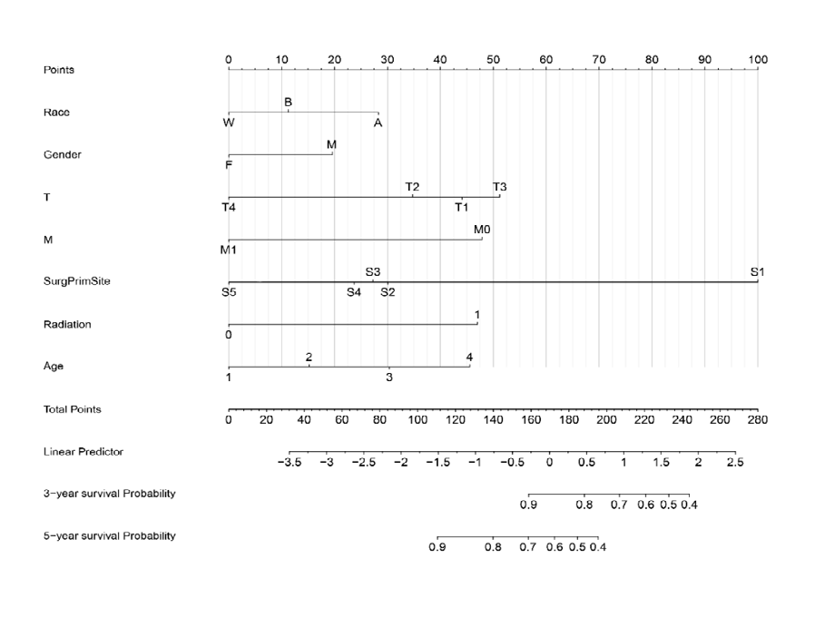 Figure 2: Nomogram to predict 3- and 5-year survival probability for ESCC patients with LNM who had surgery.