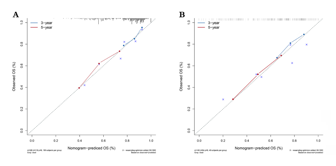 Figure 5: Calibration curves for predicting 3-year and 5-year OS for ESCC patients with LNM who had surgery in the training cohort (A) and in the validation cohort (B). The red and blue dots line stand for the accuracy of the nomogram prediction. The closer these lines to the diagonal line, the greater accuracy of the nomogram.